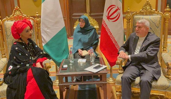 صالحی‌امیری: نقشه راه دیپلماسی فرهنگی با نیجریه، فرصتی بی‌نظیر برای تحولات جدید!