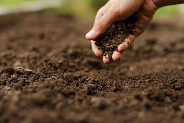 آیا می‌توانیم آینده خطرناک آلودگی فلزات سنگین در خاک را پیش‌بینی کنیم؟
